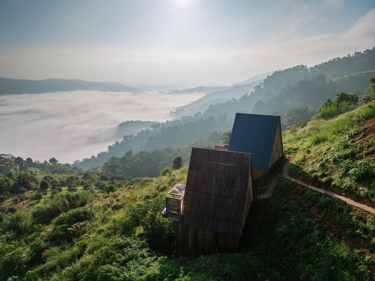 ยงยีวิวม่อนเงาะ